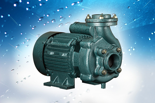Centrifugal Monoblock